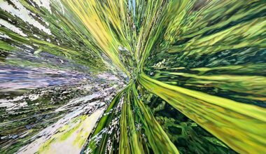 Jin Meyerson’s Orbits of Belonging