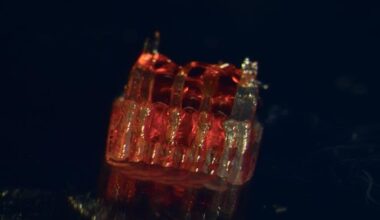 Injured Spinal Cords Repaired With Breakthrough 3D-printed ‘Scaffolding’–Team Regrows Nerves in Rats