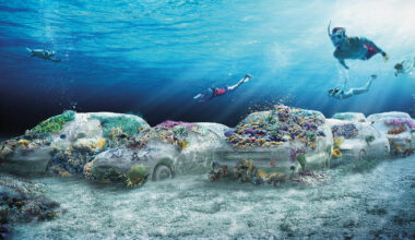 miami reefline to submerge first hybrid reef by leandro erlich this fall