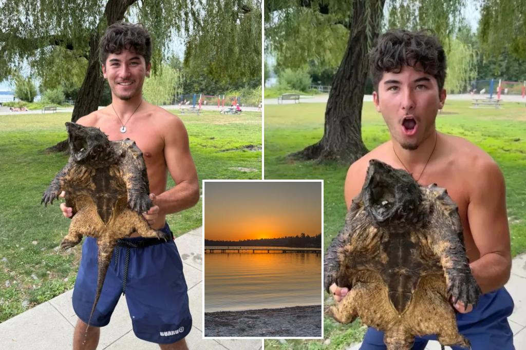 Lifeguard captures massive 'invasive' reptile lurking in Washington park