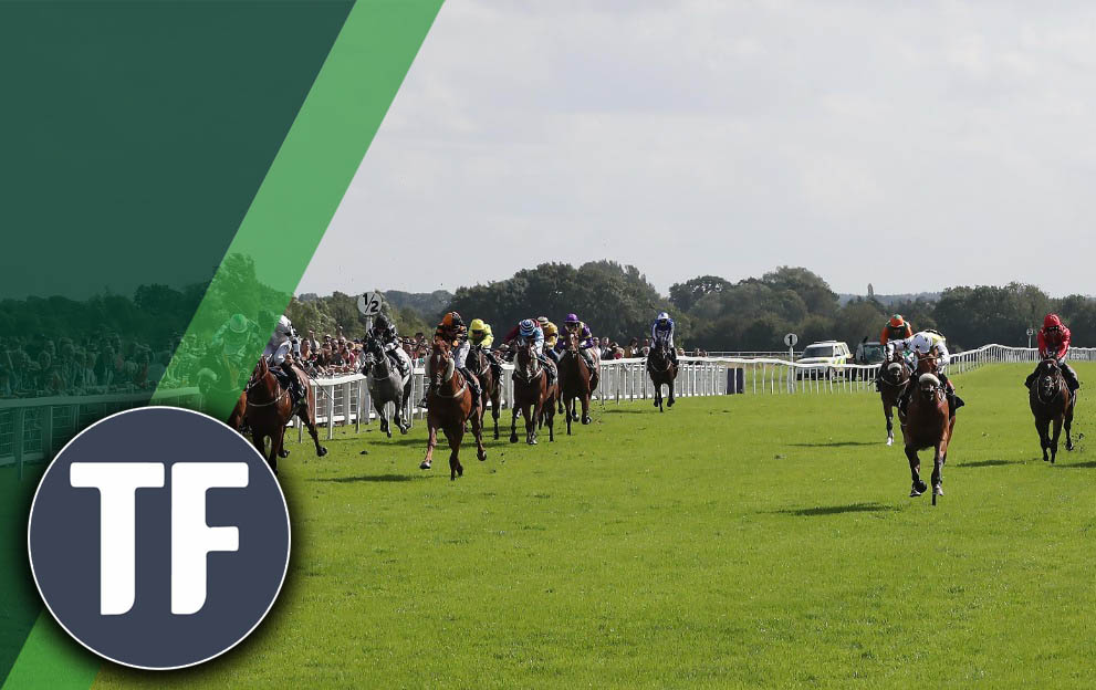 Ripon Timeform