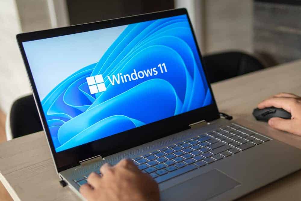 Microsoft investigates issues with SSDs after Windows 11 update