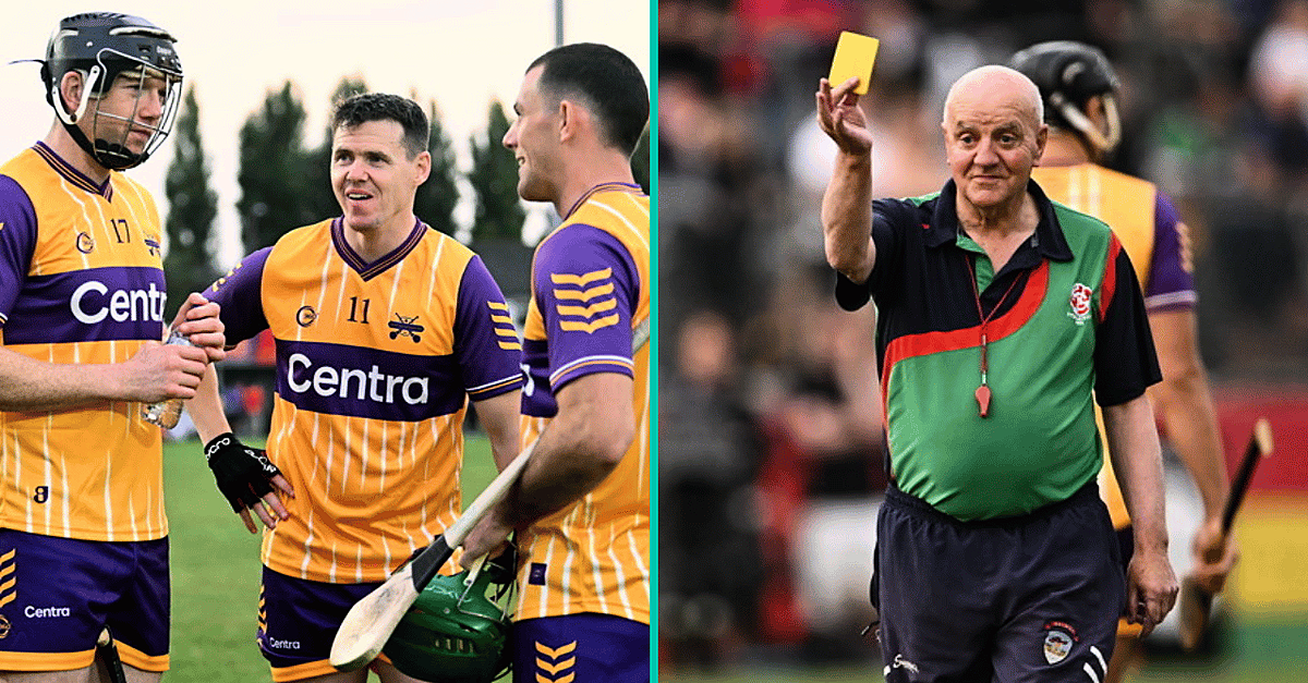 Some Big Stars Of Past And Present Were On Show At Hurling For Cancer