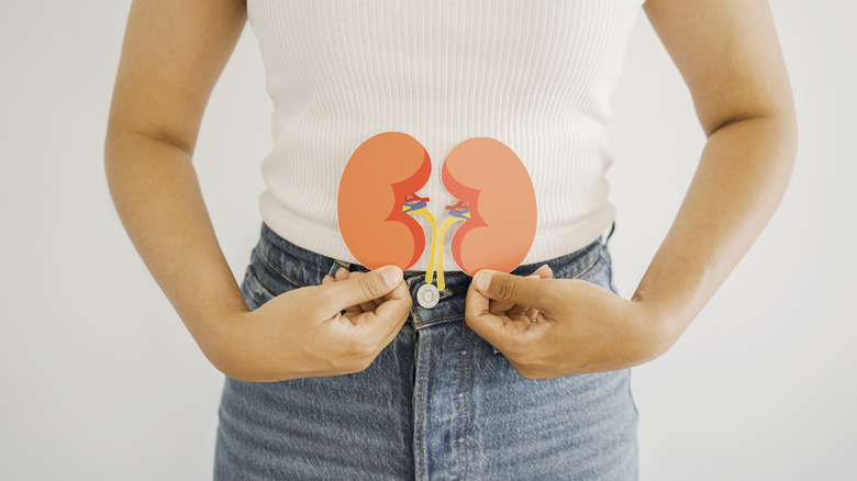 woman holding images of kidneys in front