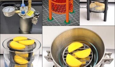 New method dehydrates fruit without heat