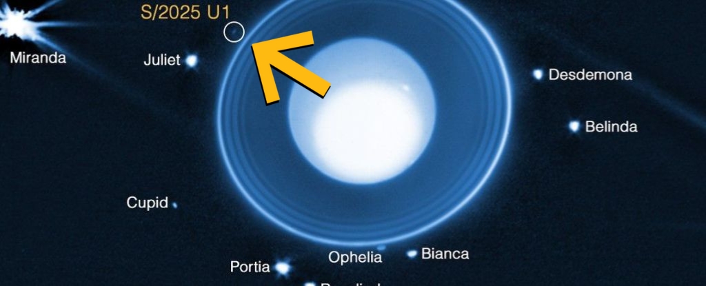 JWST Just Found a New Moon Hiding Around Uranus (And It's Tiny) : ScienceAlert
