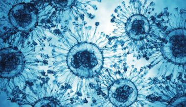 The Cells in Your Body Are Conscious, a Controversial Theory Suggests—And That Could Change Everything