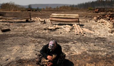 Climate change made deadly wildfires in Turkey, Greece and Cyprus more fierce, study finds
