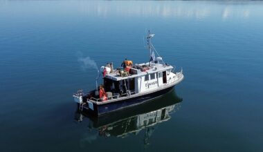 Researchers uncover Stone Age settlement submerged by rising sea levels in Denmark