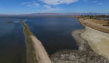 Coastal communities restoring marshes, dunes, reefs to protect against rising seas