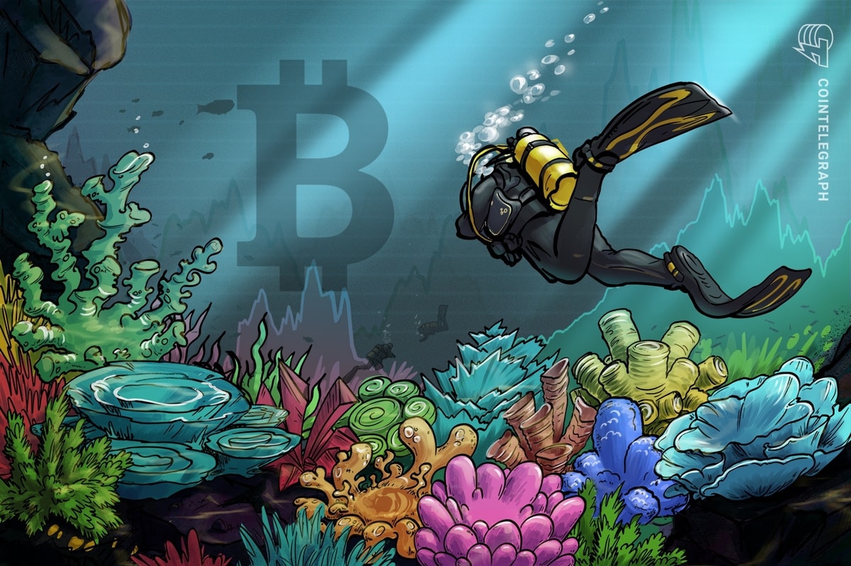 Did Bitcoin Bottom? Weak US Jobs Data Shakes The Market