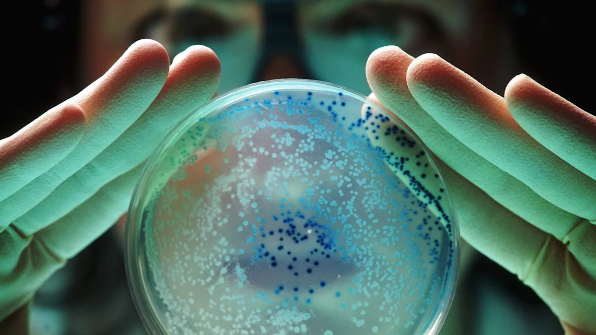 Scientists Built a New Lifeform With Just 57 Genetic Instructions
