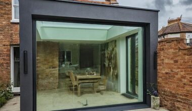 Dilemma: A Daily Mail reader's neighbour has redirected her climbing plants towards their extension