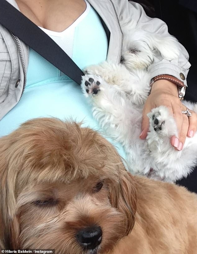 'Rest in peace, sweet Dama,' she wrote: 'You brought so much joy to our lives...you were that dog that slept on my pregnant belly'