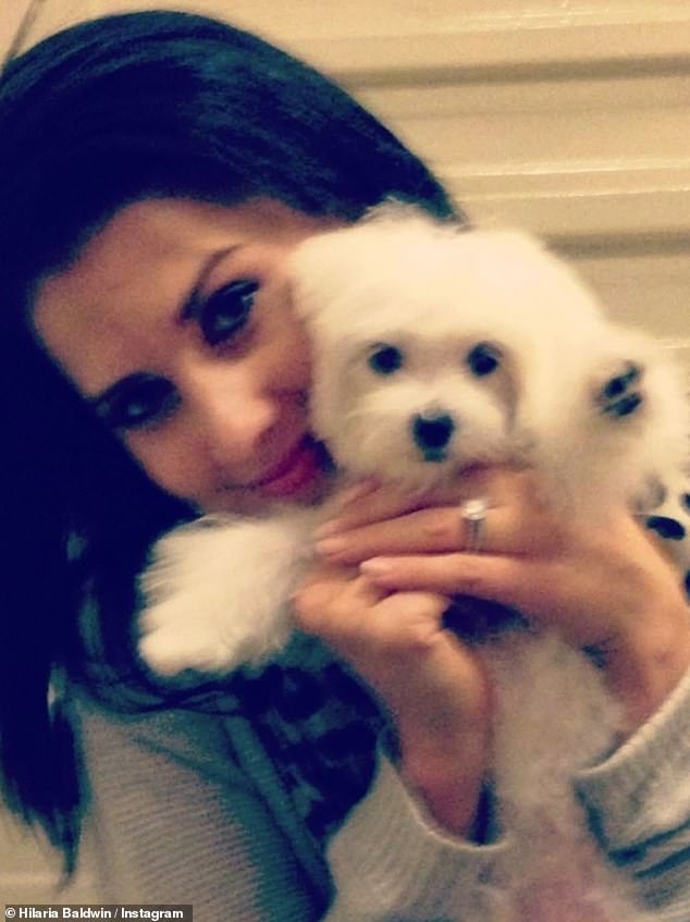 Hilaria Baldwin heartbrokenly revealed on Instagram that she and her husband Alec recently suffered the loss of their dog Dama
