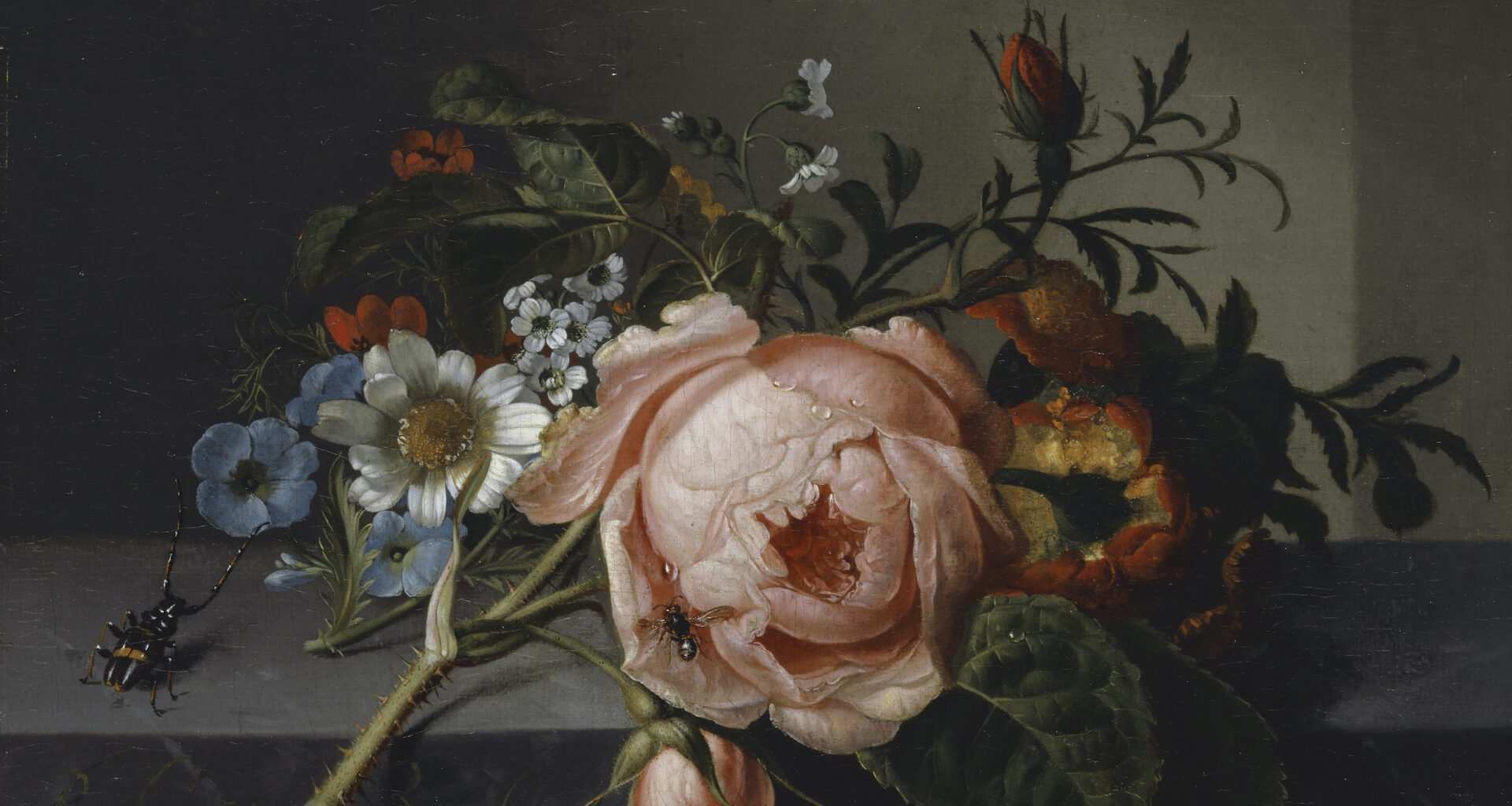 The Painter Who Captured the Dark Side of Flowers