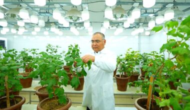 Meet the Uzbek scientist pioneering genetic breakthroughs in cotton, wheat and global food security