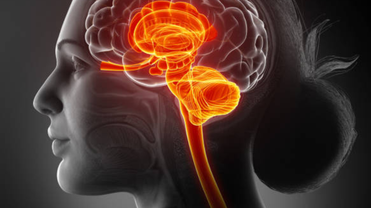 Lutein-rich foods for memory and focus