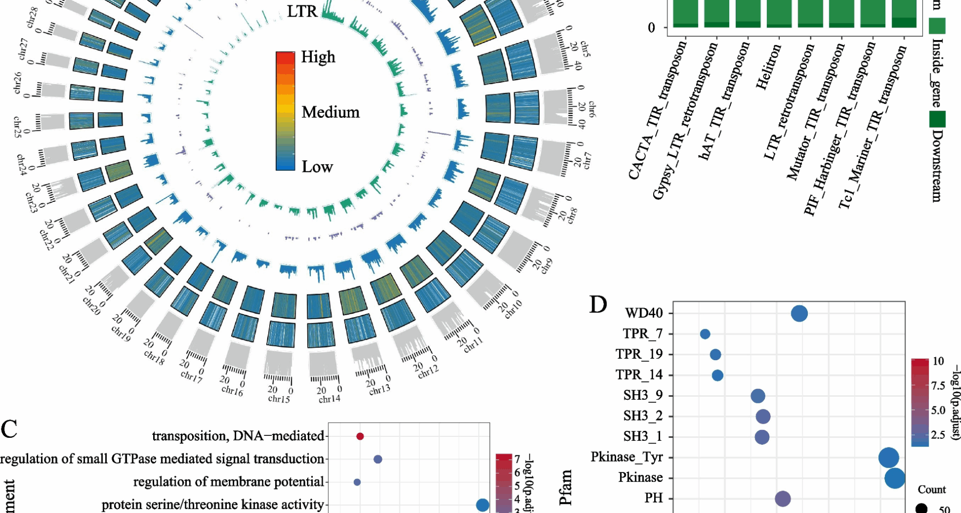 Investigating the role of transposable elements in shaping abdominal fat and egg production phenotypic traits in geese | BMC Genomics