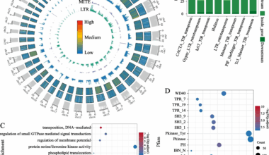 Investigating the role of transposable elements in shaping abdominal fat and egg production phenotypic traits in geese | BMC Genomics