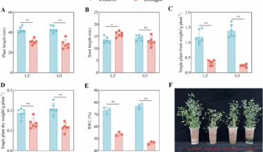 Widely targeted metabolic profiling reveals drought resistance mechanisms in alfalfa leaves | BMC Plant Biology