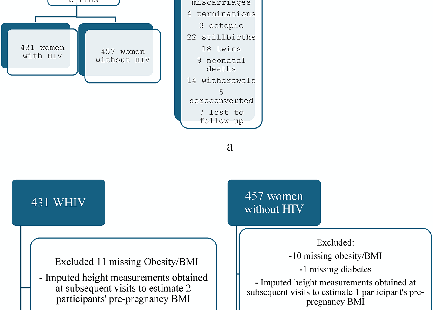 Comorbidities in pregnant South African women living with HIV and associations with adverse birth outcomes: a prospective cohort study | BMC Pregnancy and Childbirth