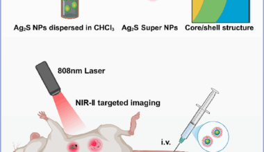 Rapid in situ microwave-assisted fabrication of ultrabright near-infrared probe for low-dose in vivo inflammatory imaging | Journal of Nanobiotechnology
