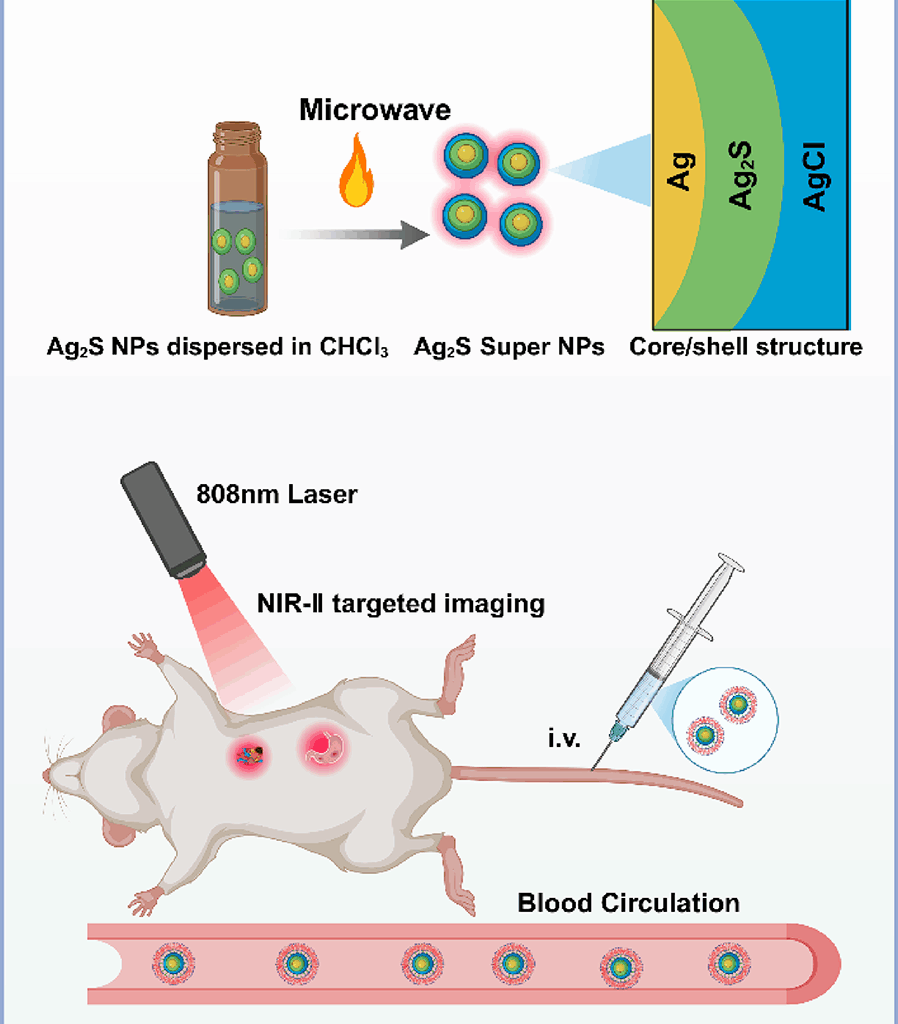 Rapid in situ microwave-assisted fabrication of ultrabright near-infrared probe for low-dose in vivo inflammatory imaging | Journal of Nanobiotechnology