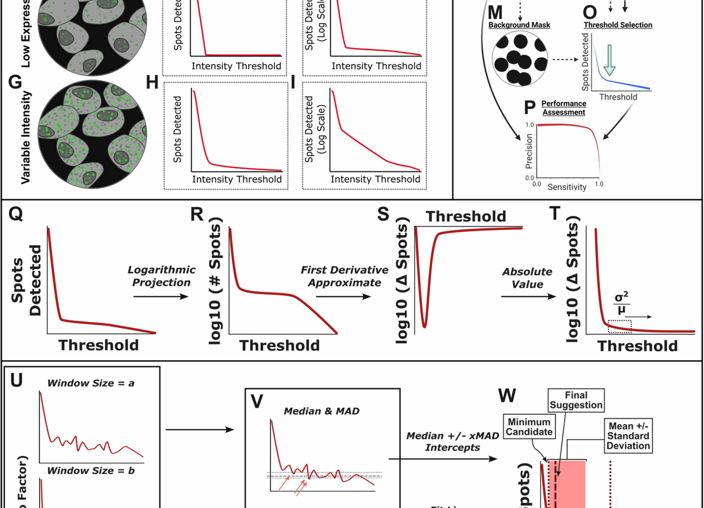 TrueSpot: a robust automated tool for quantifying signal puncta in fluorescent imaging | Genome Biology