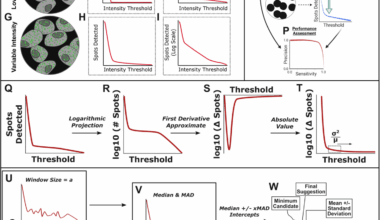 TrueSpot: a robust automated tool for quantifying signal puncta in fluorescent imaging | Genome Biology