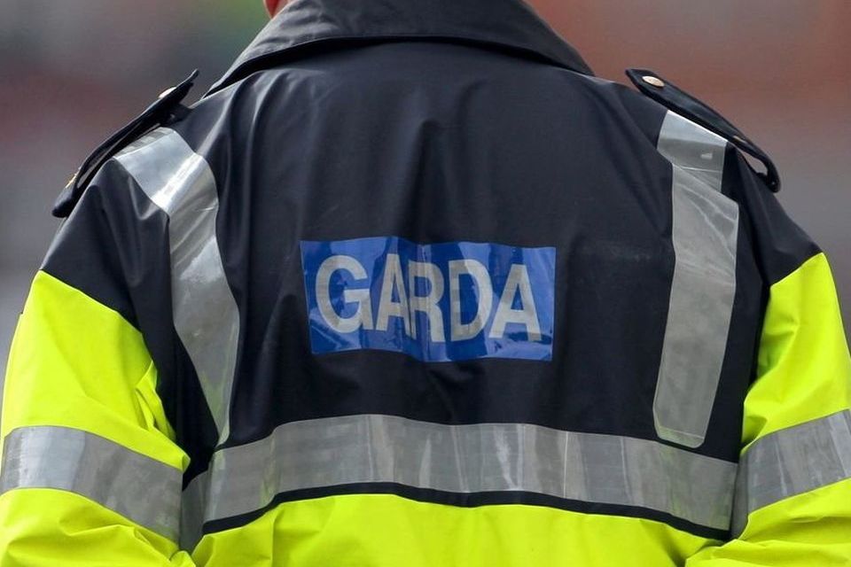 A member of An Garda Siochana. (stock image)