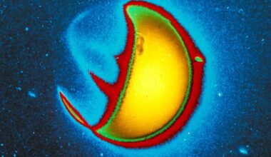 A false-color, close-up image of Earth’s exosphere as captured by the Carruthers Geocorona Observatory against a dark blue background. The image shows a semicircle glowing yellow and outlined in red.