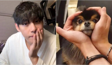 BTS V Treats ARMYs With Musical Extravaganza, Remembers Yeontan's Birthday On Weverse - FULL Playlist Kim Taehyung Played For Fans | Korean