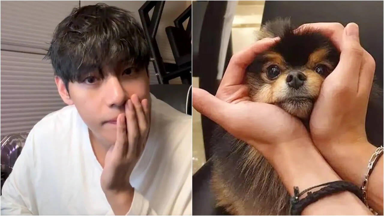 BTS V Treats ARMYs With Musical Extravaganza, Remembers Yeontan's Birthday On Weverse - FULL Playlist Kim Taehyung Played For Fans | Korean