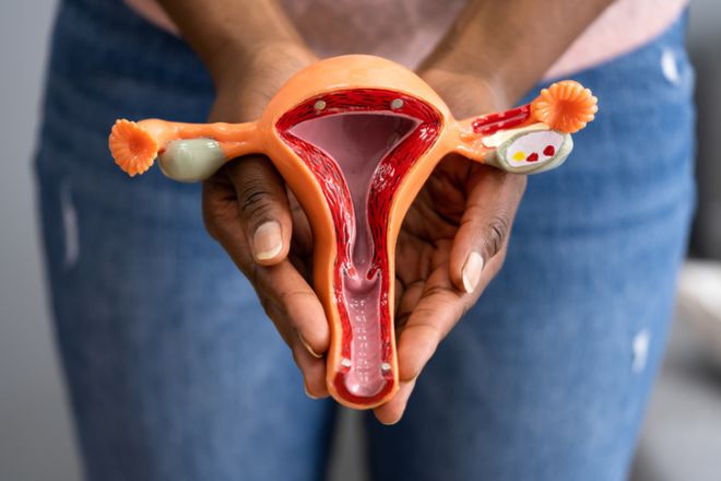 Estrogen, health, Kegels, exercise, vagina, 