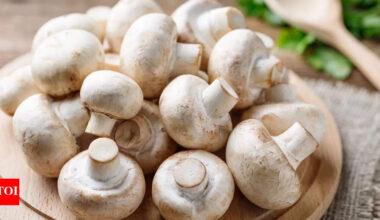 Eating five mushrooms a day could lower the risk of alzheimers, heart disease and more: Study |