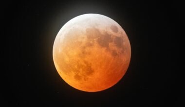 The Night Sky This Week