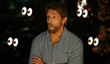 Everything You Need To Know About The Survivor:…