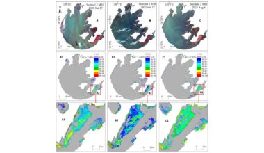 New models track vegetation shifts in China’s lakes