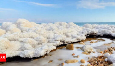 Dead Sea mystery: Strange 'salt snow' could explain hidden structures below | World News