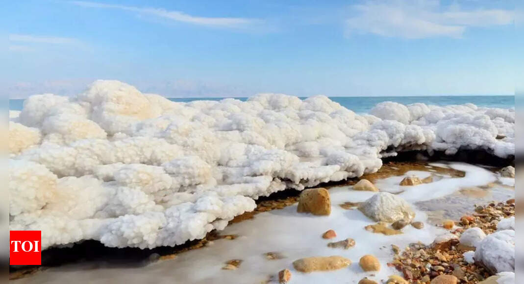Dead Sea mystery: Strange 'salt snow' could explain hidden structures below | World News