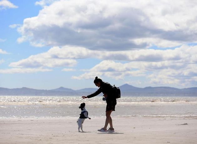 Weather forecast Ireland: Met Éireann says wind and rain are here to stay