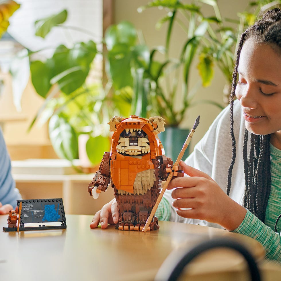Wicket the Ewok (LEGO 75430) Wicket the Ewok (LEGO 75430)