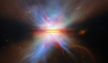 Butterfly Star flaps its rainbow wings