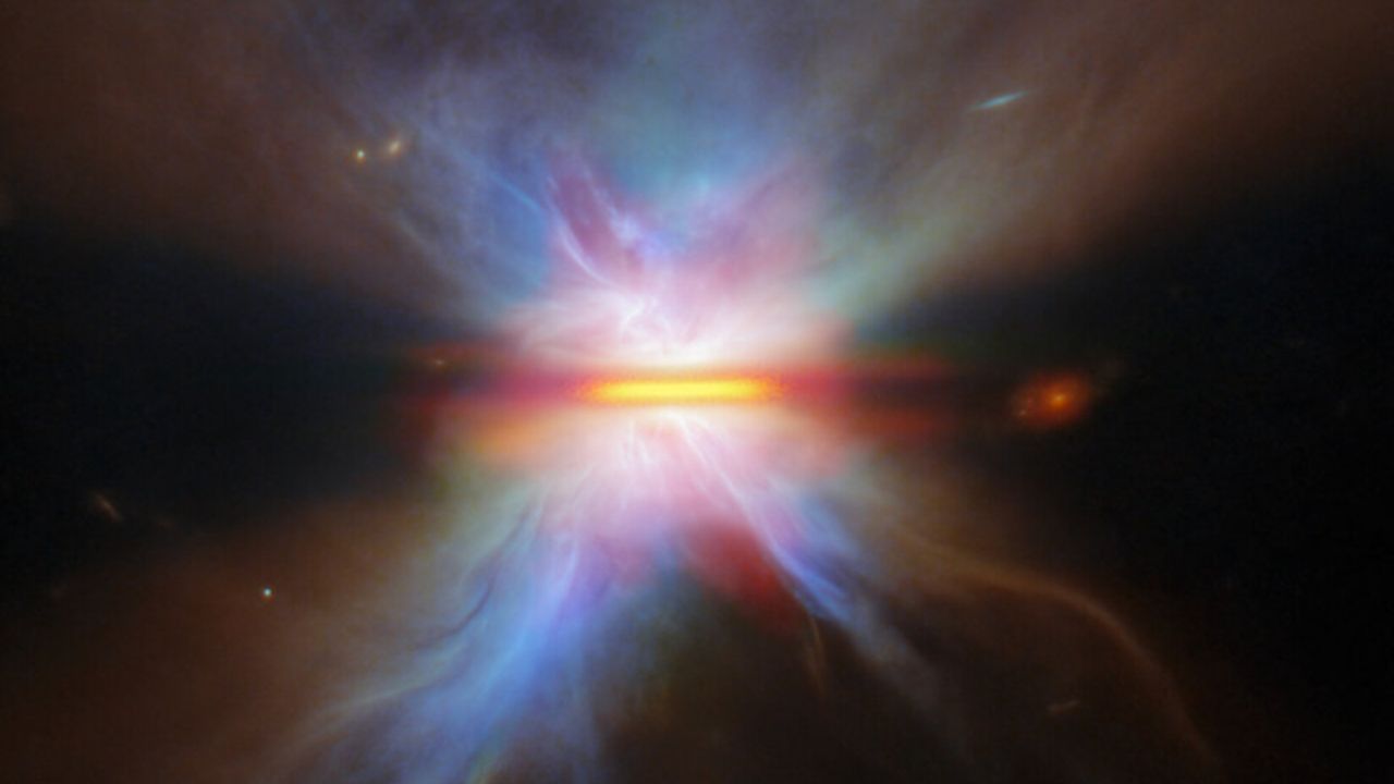 Butterfly Star flaps its rainbow wings