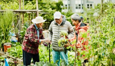 Ageing, Human Lifespans and Sustainability