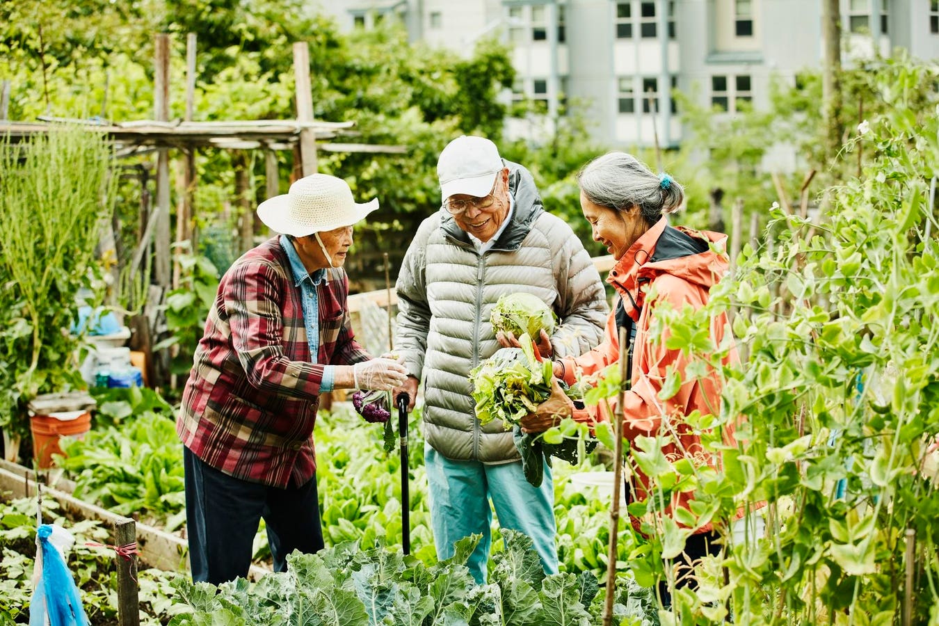 Ageing, Human Lifespans and Sustainability
