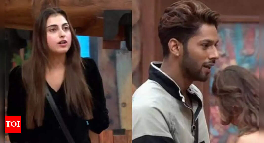 Bigg Boss 19: Netizens praise Baseer Ali and Farhana Bhat’s chemistry; call it ‘adorable’