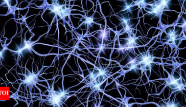 A futuristic world: Top scientists working on turning bacteria into powerful computers! |