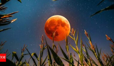 September 2025 full moon: What is the corn moon? All about visibility and timings of the celestial wonder